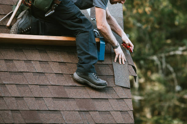 Gutter Installation and Roofing in Elmendorf, TX